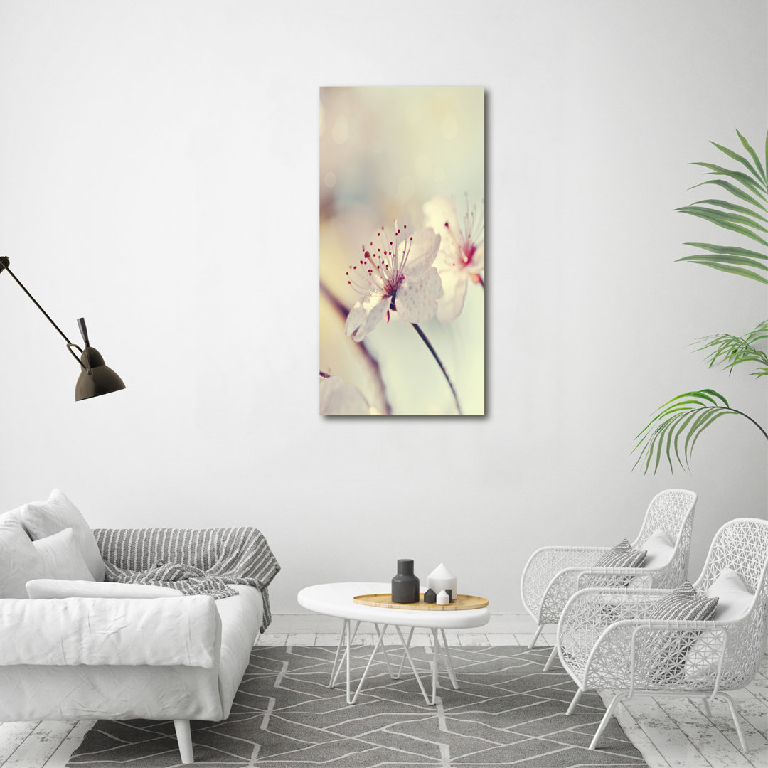 Cherry Blossoms - Wrapped Canvas Print