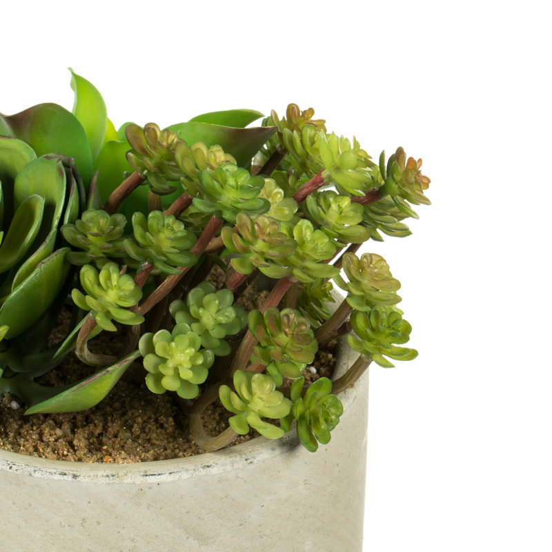 8'' Faux Succulent Plant
