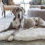 Orthopedic Faux Fur Pet Bed-1678288166-1713655018