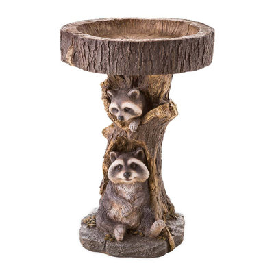 Resin Raccoon Bird Bath