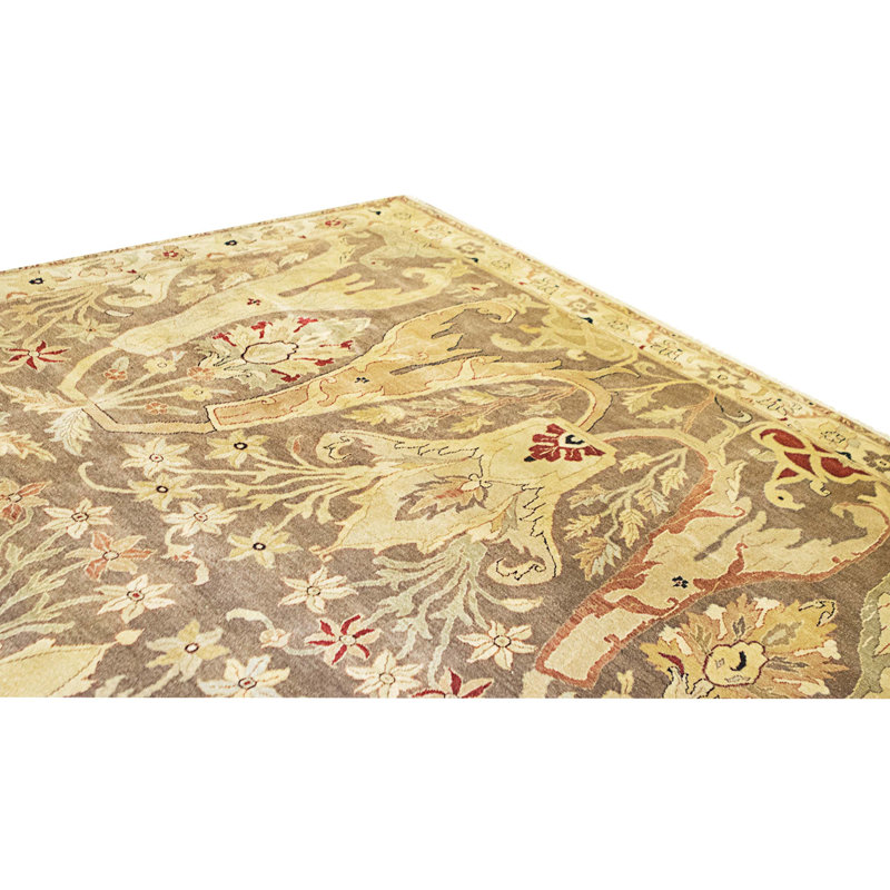 Hand Knotted Area Rug in Brown And Ivory