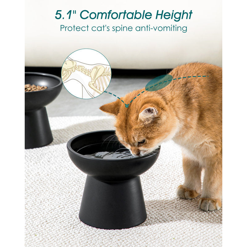 Elevated Feeder, Black