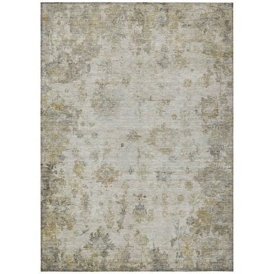 Machine Washable Indoor/Outdoor Emelia ACN2301 Global Rug