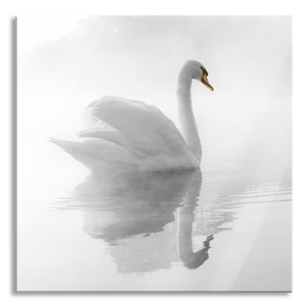 Glasbild Schwan im Morgennebel