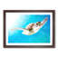 Green Turtle - Picture Frame Graphic Art Print-56713455-56713453
