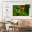 Fleur et colibri vert-684580209-684580228