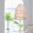 Issa 1 - Light Natural Dome Pendant