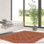 Tapis kaki noué à la main de conception unique 3 pi 7 po x 3 pi 11 po Joannamarie