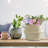 Bayou Breeze Decorative Basket-163056925