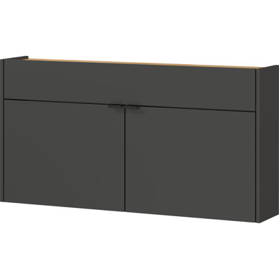 Nyack 12 Pair Shoe Storage Cabinet