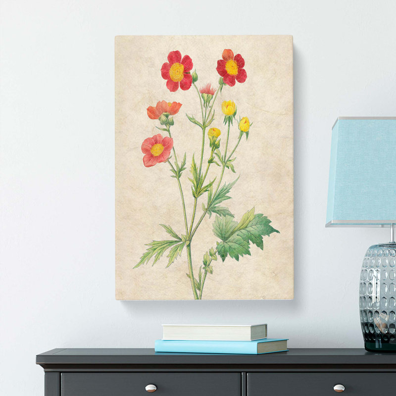 Geum Flowers by Pierre-Joseph Redoute - Wrapped Canvas Print, 76cm H x 50cm W x 3cm D