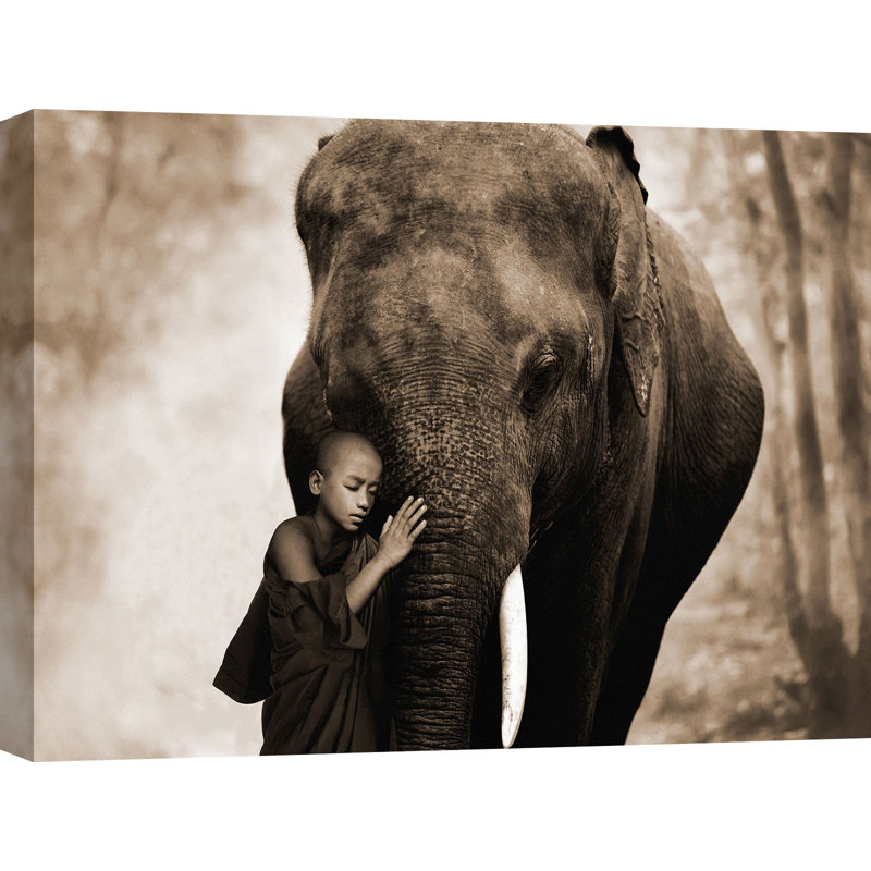 Healing Embrace by Marc Moreau - Wrapped Canvas Print, 60cm H x 80cm W