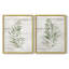 Impression encadrée Tropic Frond I-Premium - prête à être accrochée - aucun clou requis - aucun clou requis-302672924-302672935