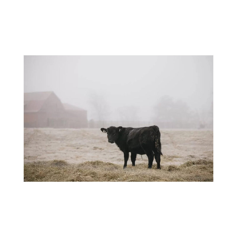 Farm Study II 1 Piece Wrapped Canvas Wall Art, 30.48 cm H x 45.72 cm W