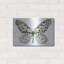 "Butterfly 3" par Stellar Design Studio-1630032894
