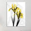 Iris - impression sur toile tendue-23605019