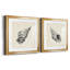 Seashell, croquis au crayon I Seashell, croquis au crayon I - ensemble de 2 cadres photo-1259675322-1259675318-1273975261