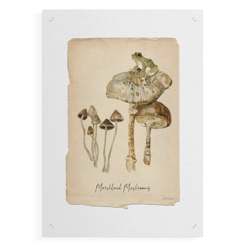 Champignons des marais - Impression sur toile seulement - NON-CADRE, H 36 po x l 24 po