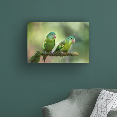 «Pair o parakeets» par Greg Barsh - reproduction de photo sur toile tendue
