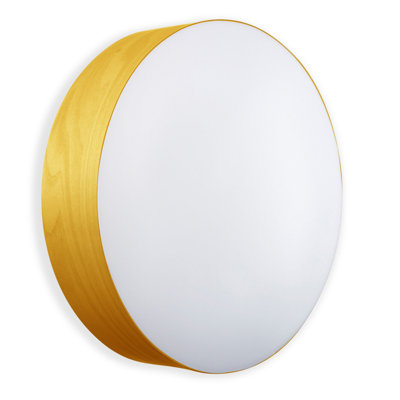 Gea 1 - Light Flush Mounted Sconce