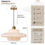 Mid Century Pendant Lamp Gold Nordic-493659