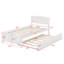 Lit plate-forme avec lit gigogne-1127631888