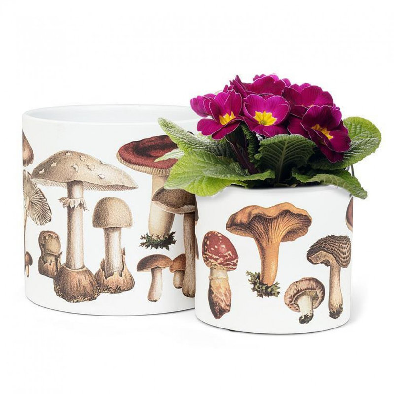 Large Botanical Mushroom Planter, 4" H x 4.5" W x 4.5" D
