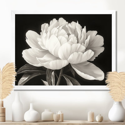 Innessa, pivoines blanches et noires élégantes II - pivoines, art mural