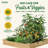Keimari Wood Raised Garden Bed-1263564746