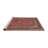 Oriental Indoor Rug-174402446