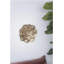 Plaque murale succulente D10x1,4 ", 2 pièces