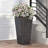 PLANTER-378235973
