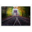 Art mural en verre épique «White Mountain Autumn» par Rick Berk-307649780