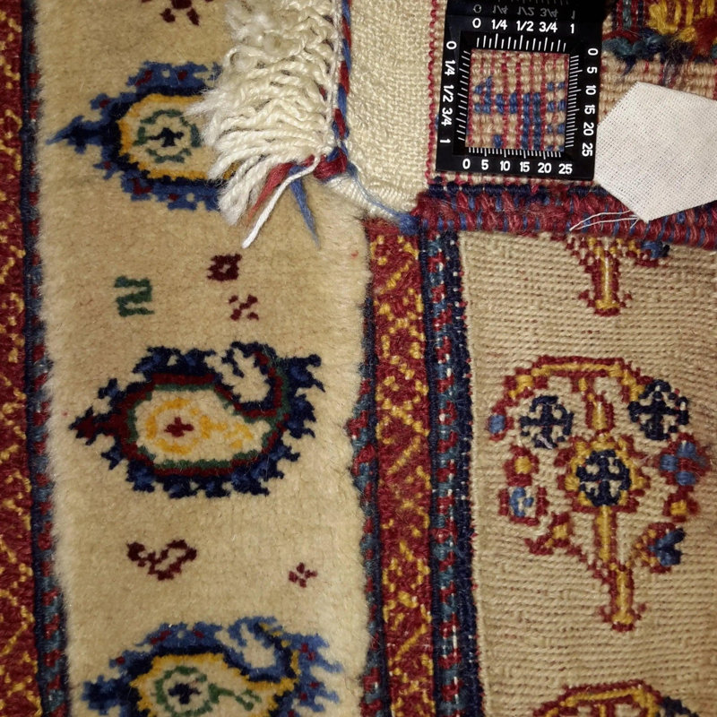 Asharna Oriental Area Rug in Beige