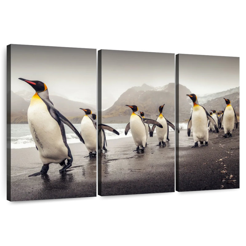 Pingouins bruns le long de la plage, H 24 po x l 38 po