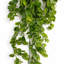 75 cm H Faux Plant-127680949
