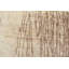 Tapis unique brun de 11 pi 9 po x 14 pi 7 po