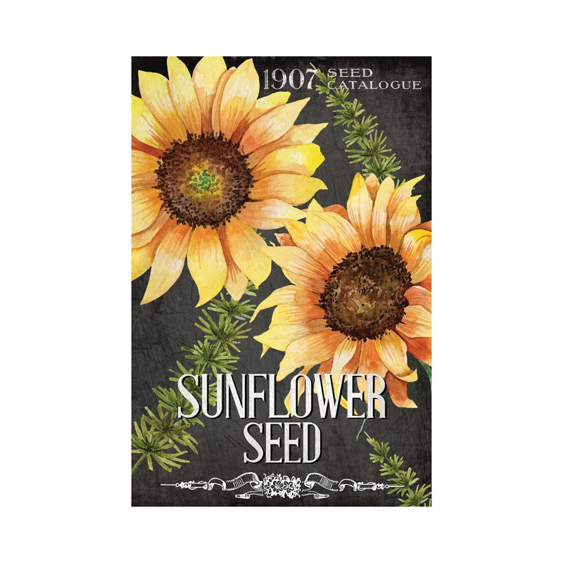 Sunflower Seed 1 Piece Wrapped Canvas Wall Art