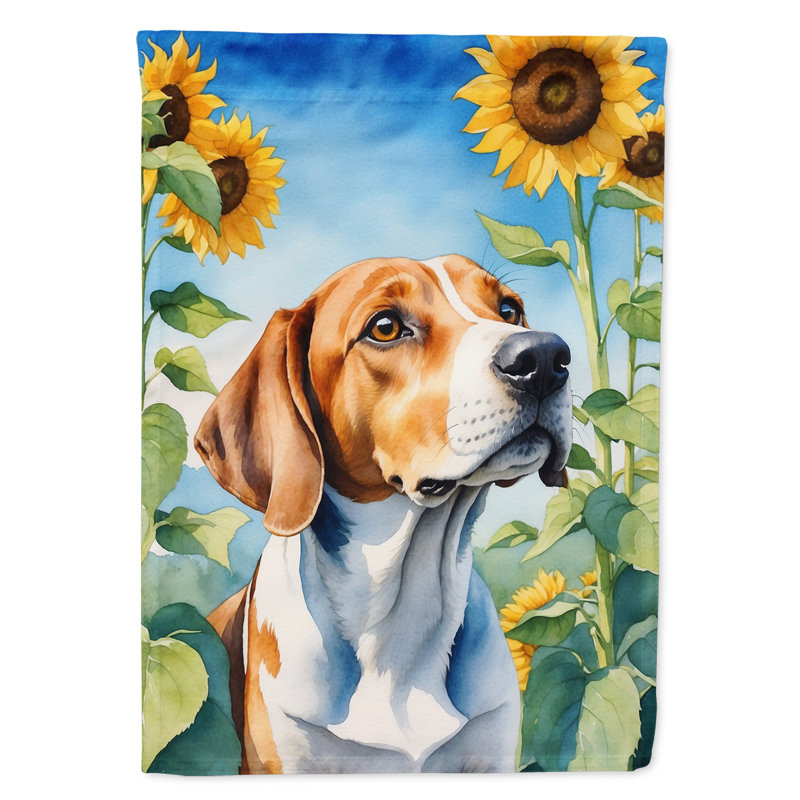 Drapeau de la maison du tournesol Malamute d'Alaska, Foxhound anglais