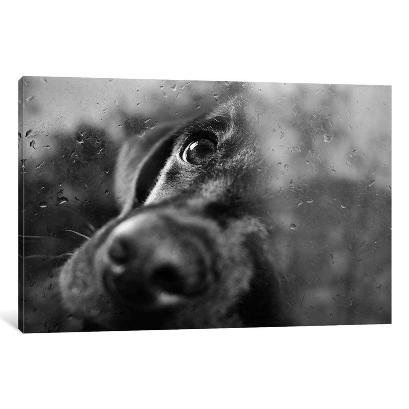 Waiting For You by Ingrid Beddoes - Wrapped Canvas Giclee Art Print, 66.04 cm H x 45.72 cm W x 3.175 cm D
