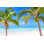«Tropical Beach» par Joseicotiosoto - Photographie sur toile tendue