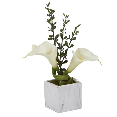 Lillies Arrangement in Planter