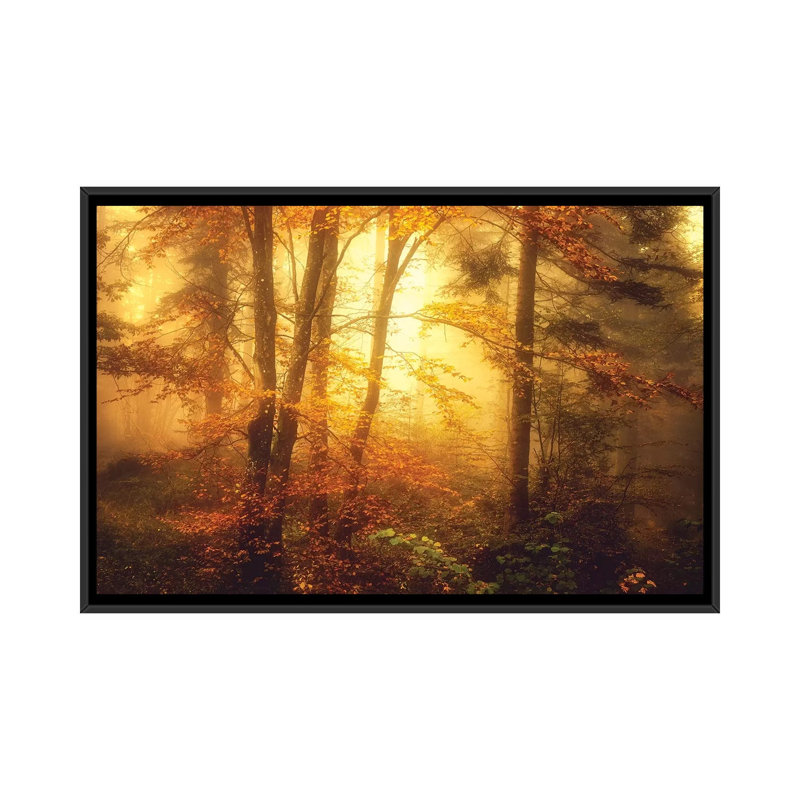 Mystic Fog by Philippe Sainte-Laudy - Print on Canvas, Black Framed, 101.6 cm H x 66.04 cm W
