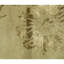 Hand Knotted Area Rug in Sage Green