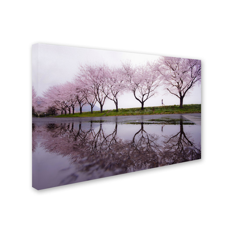 « rain of spring », reproduction de photo sur toile tendue, H 22 po x l 32 po