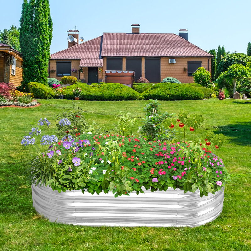 Lit de jardin galvanisé 6X3x1ft