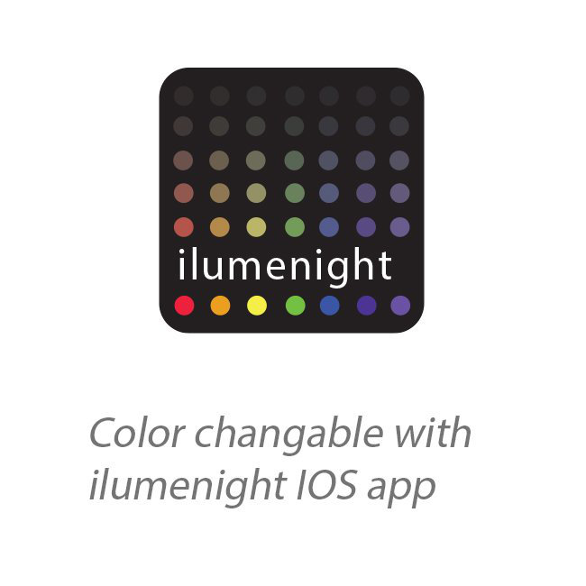 LED Wall Light, Spot/Straight Up and Down, White