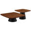 Ensemble de tables basses 2 pièces Duncan