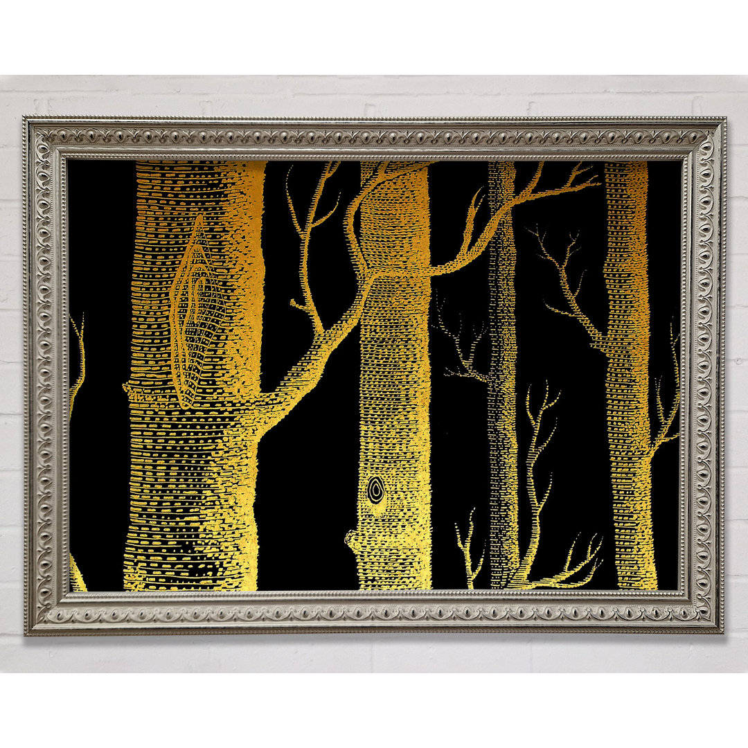 The Night Time Woodland - Einzelne Bilderrahmen Kunstdrucke