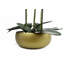 Plant-88685039-88685040